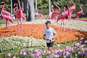 BIB: 
                            <button type="button" onclick="openModal(27793259)" class="btn btn-primary btn-sm float-right btn-popup" data-toggle="modal" data-target=".modal-high-quality">
                        <i class="fas fa-shopping-cart"></i> Add to Cart
                    </button>
                                            <button type="button" onclick="isThisMe(27793259, true)" class="btn btn-success btn-sm float-right btn-popup btn-isme hidden" data-toggle="tooltip" data-placement="bottom" title="นี่คือรูปของคุณใช่ไหม คลิกที่นี่เพื่อเอาเข้าอัลบั้ม">
                        <i class="fas fa-plus"></i> Add to album
                    </button>
                    <button type="button" onclick="isThisMe(27793259, false)" class="btn btn-warning btn-sm float-right btn-popup btn-isnotme hidden">
                        <i class="fas fa-ban"></i> Remove from album
                    </button>